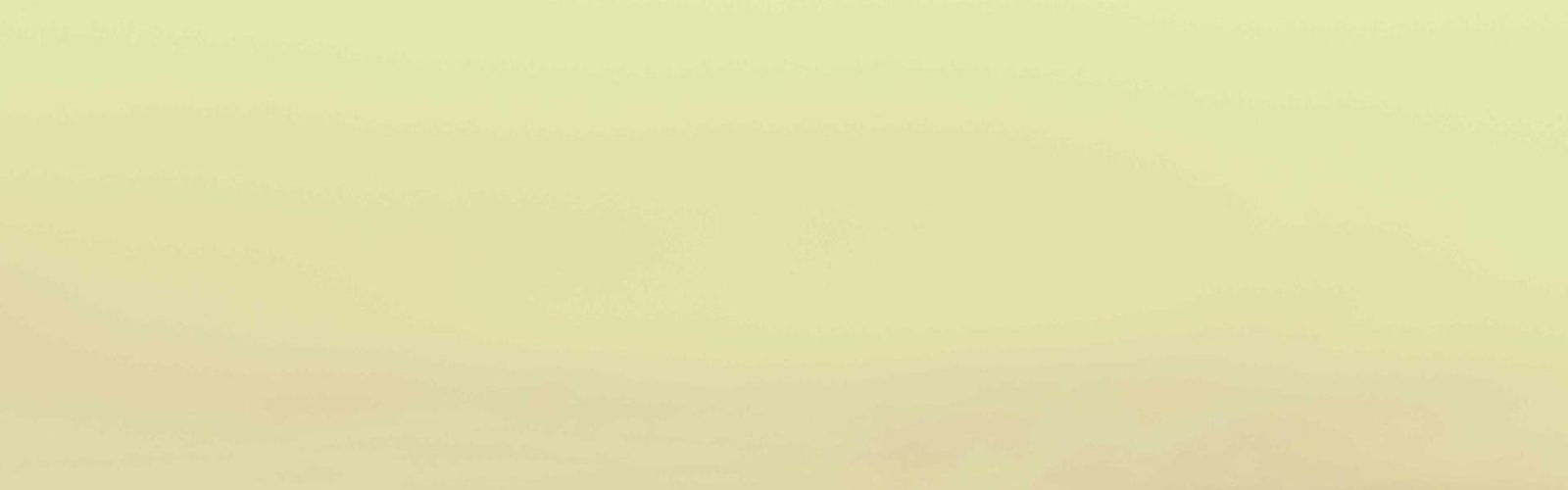 Lehengas banner
